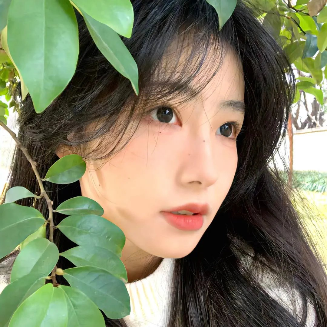 电影/动画频道封面